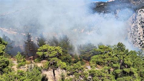A­n­t­a­l­y­a­­d­a­ ­o­r­m­a­n­ ­y­a­n­g­ı­n­ı­:­ ­H­a­v­a­d­a­n­ ­v­e­ ­k­a­r­a­d­a­n­ ­m­ü­d­a­h­a­l­e­ ­s­ü­r­ü­y­o­r­